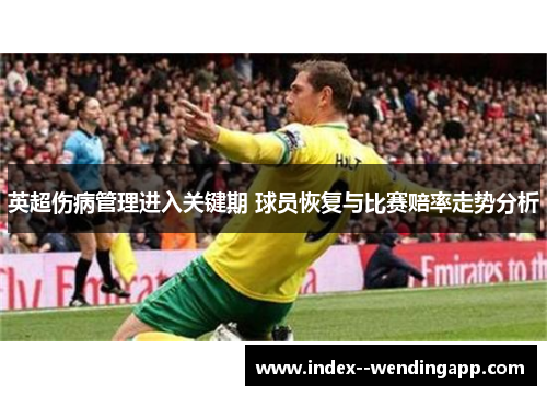 英超伤病管理进入关键期 球员恢复与比赛赔率走势分析