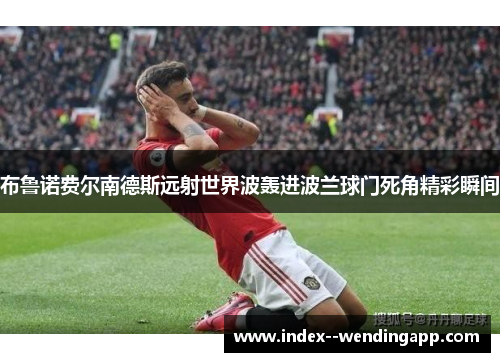 布鲁诺费尔南德斯远射世界波轰进波兰球门死角精彩瞬间